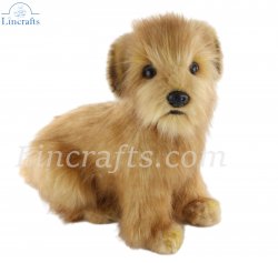 Soft Toy Dog, Norfolk Terrier by Hansa (23cm) 4126