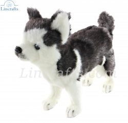 Soft Toy Dog, Husky Pup by Hansa (20cm.H) 6970