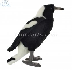 Soft Toy Bird, Australian Magpie by Hansa (14cm) 5090