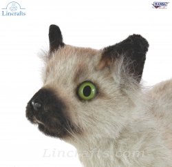 Soft Toy Cat, Siamese Kitten by Hansa (33cm) 7595