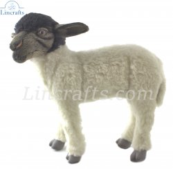 Soft Toy Black Faced Suffolk Sheep Standing by Hansa (33cm) 7822