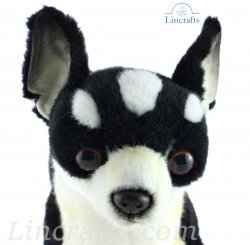 Soft Toy Dog, Chihuahua by Hansa (27cm) 6367