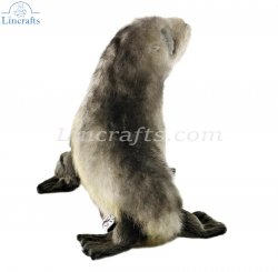 Soft Toy Australian Seal Pup by Hansa (26 cm.L) 6700