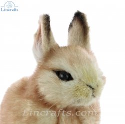 Soft Toy Pygmy Rabbit Cream by Hansa (18cm.L) 8128