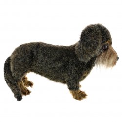 Soft Toy Dog, Wire Haired Dachshund by Hansa (34cm.L) 6325