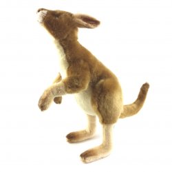 Kangaroo by Hansa (36cm) 4900