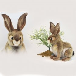 Soft Toy Jack Rabbit, Hare by Hansa (24cm) 3584