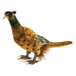 Soft Toy Bird, Pheasant by Hansa (31cm) 3846