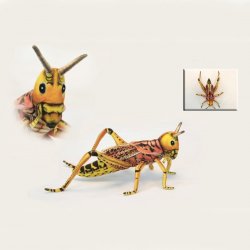 Soft Toy Locust Grasshopper by Hansa (35cm) 6569