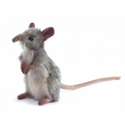 Soft Toy Rodent, Elephant Mouse (Shrew) by Hansa (14cm) 4111