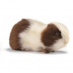 Soft Toy Guinea Pig by Hansa (19cm) 3735
