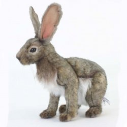 Soft Toy Jack Rabbit, Hare by Hansa (30cm) 5304