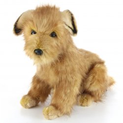 Soft Toy Norfolk Terrier Dog by Hansa (33cm) 3996