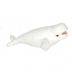 Soft Toy Beluga Whale by Hansa (25cm) 6631