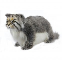 Soft Toy Pallas Cat Standing by Hansa (30cm) 7077