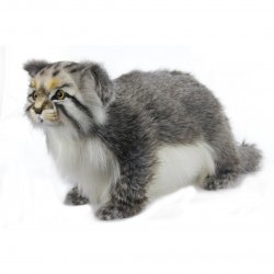 Soft Toy Pallas Cat Standing by Hansa (44cm) 7077