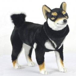 Soft Toy Black Shiba Dog Standing by Hansa (50cm.L) 7242