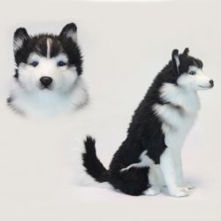 Soft Toy Husky Dog Sitting by Hansa (37 cm.H) 6638