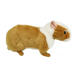 Soft Toy Guineapig by Hansa (15cm) 7035
