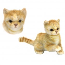 Soft Toy Cat, Ginger Kitten by Hansa (20cm) 6492