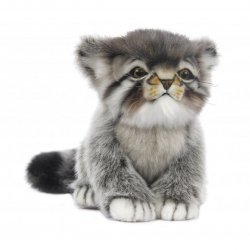 Soft Toy Cat, Pallas Kitten by Hansa (31cm.L) 7299