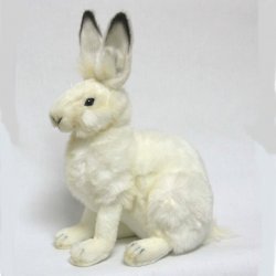 Soft Toy Snow, Arctic Hare by Hansa (27cm) 4075