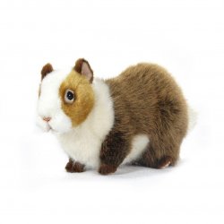 Soft Toy Guineapig by Hansa (32cm) 7039