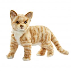 Soft Toy Ginger Cat by Hansa (31cm.L) 7230