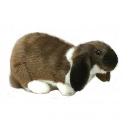 Soft Toy Rabbit, German Lop-Eared Bunny by Hansa (25cmL.) 4836