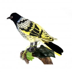 Soft Toy Bird, Regent Honey Eater by Hansa (16cm) 6040