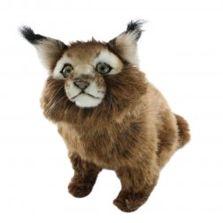 Soft Toy Wildcat, Caracal Cat by Hansa (26cm) 7047