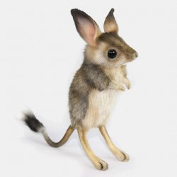 Soft Toy Jerboa, Desert Rat, by Hansa (19cm.H) 7497