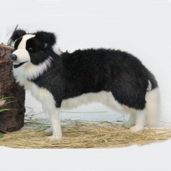 Soft Toy Dog, Border Collie by Hansa (84cm) 4563