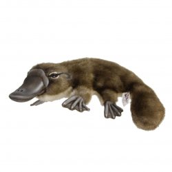 Soft Toy Platypus by Hansa (40cm) 7683