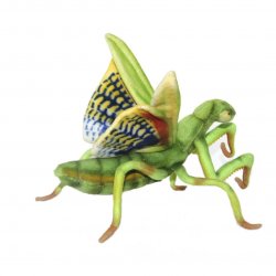 Soft Toy Praying Mantis by Hansa (26cm) 7773