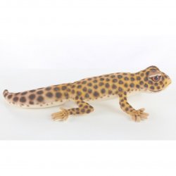 Soft Toy Leopard Gecko by Hansa (26cm) 8140