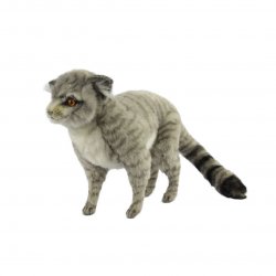 Scottish Wildcat by Hansa (41cm) 7629