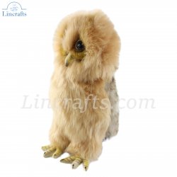 Soft Toy Philippine Eagle Owl by Hansa (22cm) 7931