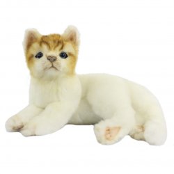 Soft Toy White & Ginger Kitten by Hansa  (20cm.L) 7979