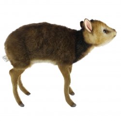 Soft Toy Muntjac Deer Baby by Hansa (28cm.L) 8024
