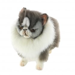 Soft Toy Persian Cat by Hansa (23cm) 7596