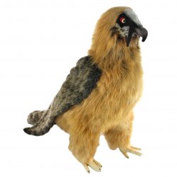 Soft Toy Bird, Bearded Vulture by Hansa (47cm.L) 7636