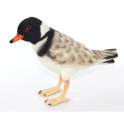 Soft Toy Bird, Hooded Plover by Hansa (20cm.L) 7888