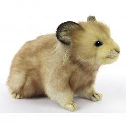 Soft Toy Endangered Pika by Hansa (15cm.L) 8020