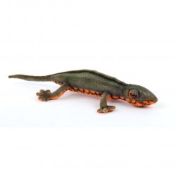 Soft Toy Japanese Newt by Hansa (23cm.L) 8141