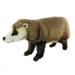 Soft Toy Japanese Badger by Hansa (56cm.L) 8148