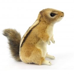 Soft Toy Chipmunk by Hansa (23cm.L) 8206