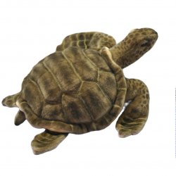 Soft Toy Turtle by Hansa (50cm) 5072