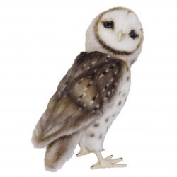 Soft Toy Barn Owl Bird of Prey by Hansa (27cm) 7644