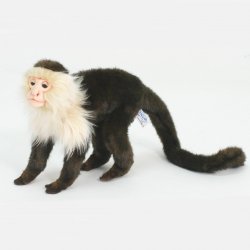 Soft Toy Capuchin Monkey by Hansa (27cm) 5852